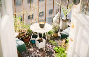 Nutzpflanzen: Praktischer und schöner Trend für den Balkon