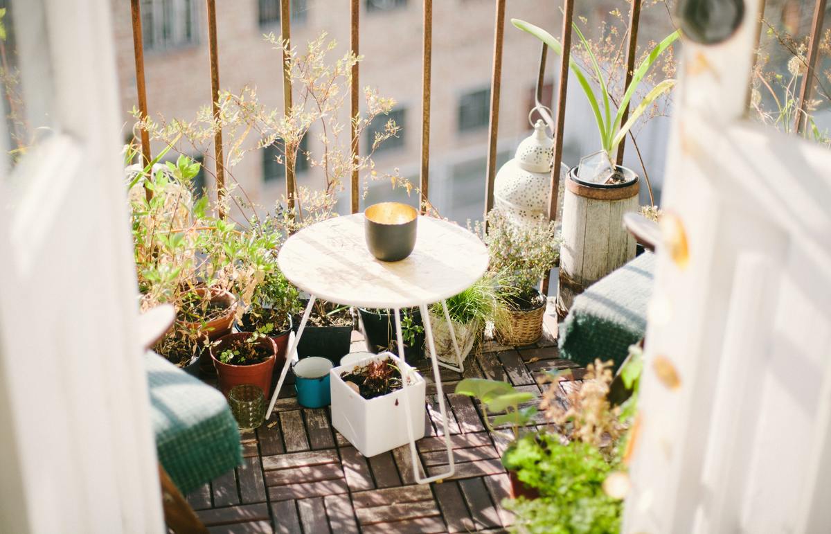 Nutzpflanzen Praktischer und schöner Trend für den Balkon PropertyPro.ch